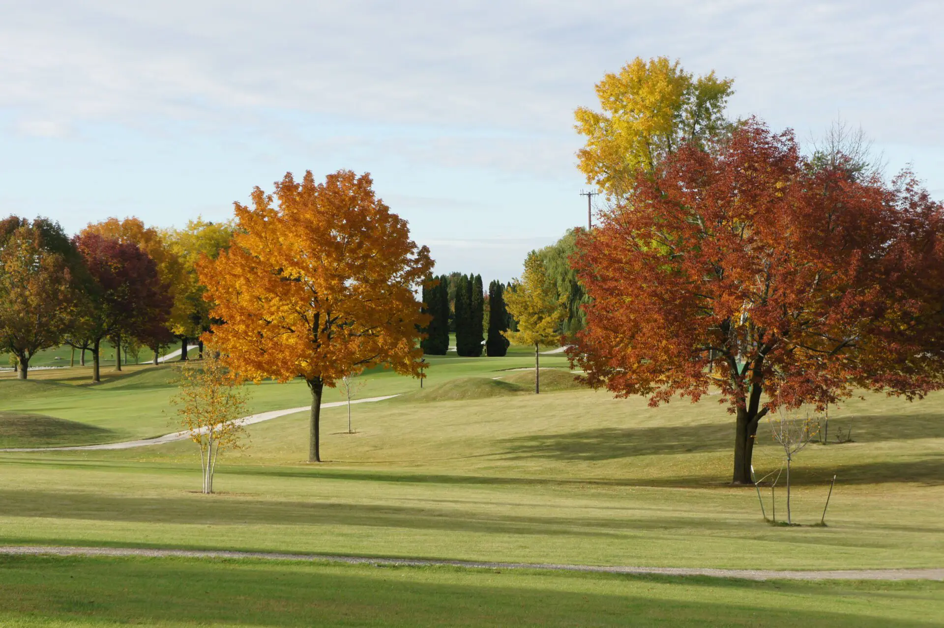 Town & Country Golf Course